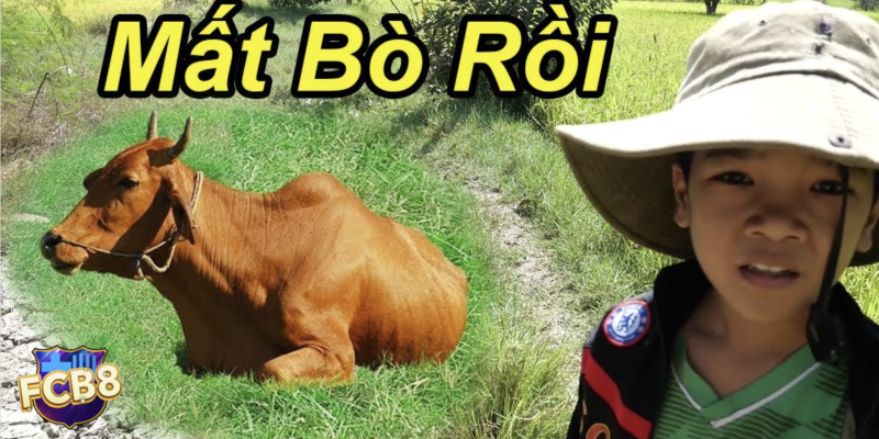 Những dấu hiệu của việc mơ thấy bò. Điềm báo tốt hay xấu