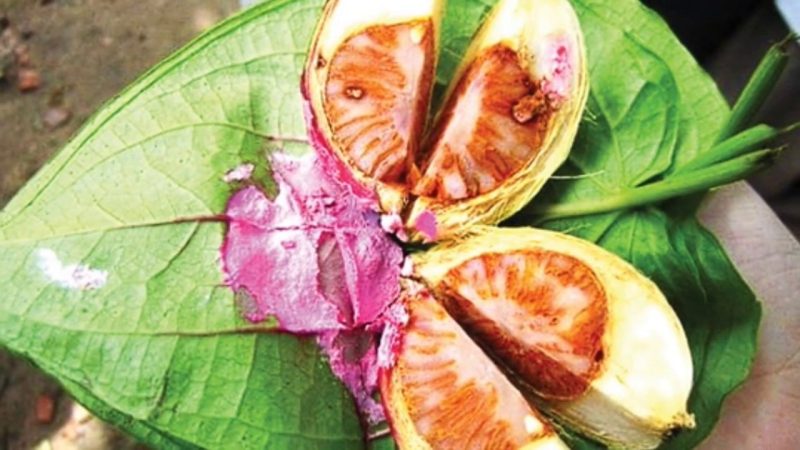 Đánh số đề gì khi chiêm bao thấy buồng cau