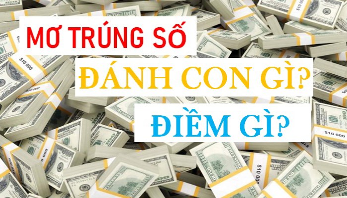 Mơ Thấy Trúng Số – Điềm Báo Vận May Hay Lời Cảnh Báo?