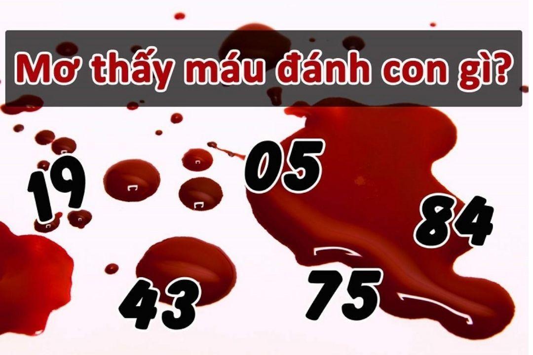 Mơ thấy máu đánh số mấy?