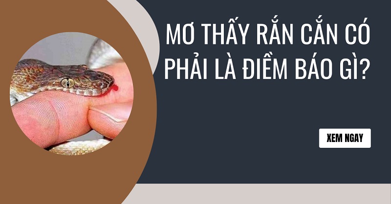 Mơ Thấy Rắn Cắn – Điềm Báo Tốt Xấu Và Số Đề Chính Xác