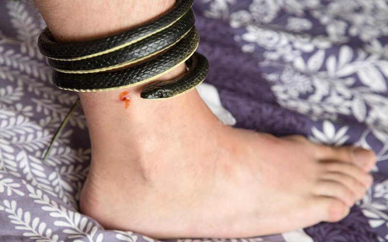 Số đề chính xác khi mơ thấy bị rắn cắn