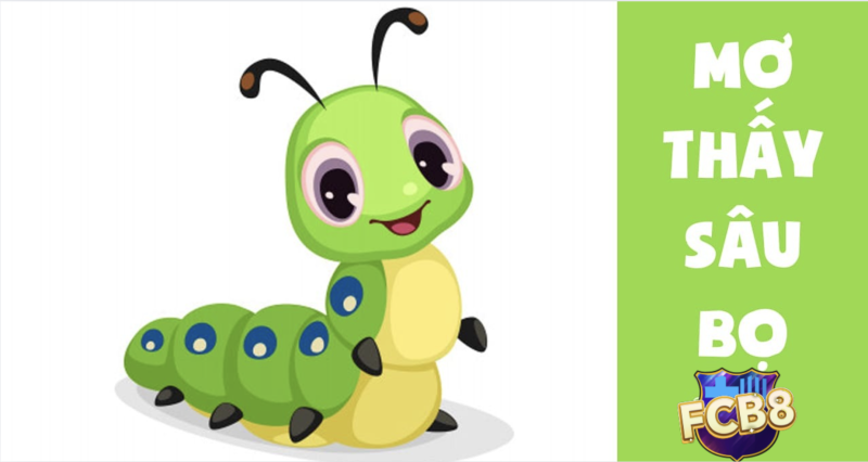 Khám phá giấc mơ thấy sâu bọ