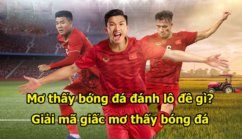 Mơ Thấy Bóng Đá Đánh Con Gì? FCB8 Giải Mã Giấc Mơ Chi Tiết Cho Bạn