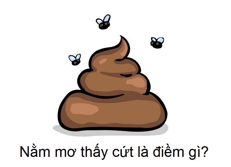 Ý nghĩa giấc mộng thấy cứt