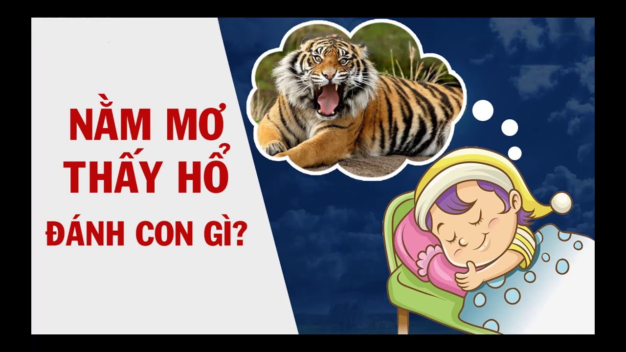 Mơ Thấy Hổ – Con Số Nào Giúp Bạn “Hạ Gục” Nhà Cái FCB8?