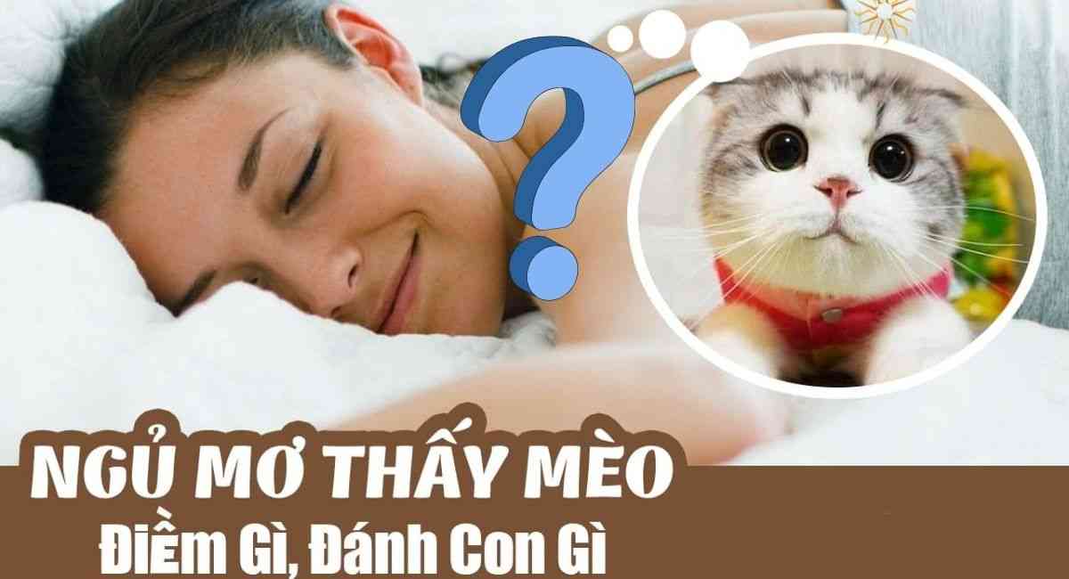 FCB8 Giải Mã Giấc Mơ Thấy Mèo – Đánh Con Gì Để Trúng Lớn?