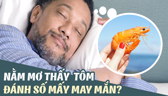 Mơ Thấy Tôm Đánh Con Gì? Bật Mí Con Số Đề Vàng Tại FCB8