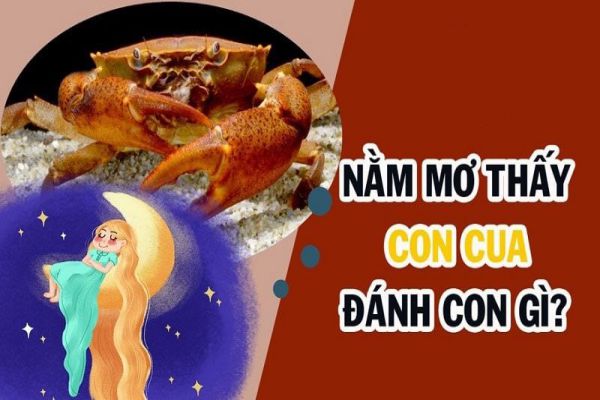 FCB8 gợi ý số đề khi nằm mơ thấy cua
