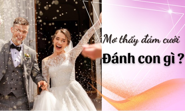 FCB8 Bật Mí Ý Nghĩa Giấc Mơ Thấy Đám Cưới Và Số Đề Liên Quan