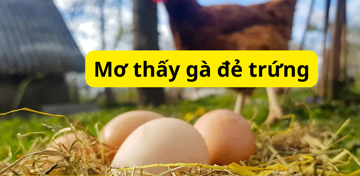 FCB8 gợi ý số đề phát lộc khi mơ thấy gà đẻ trứng