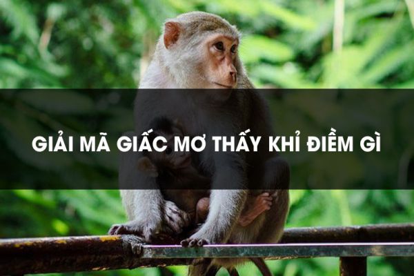 Nằm mơ thấy khỉ hên hay xui?
