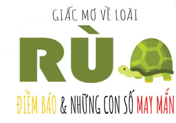 FCB8 giải mã giấc mơ thấy rùa