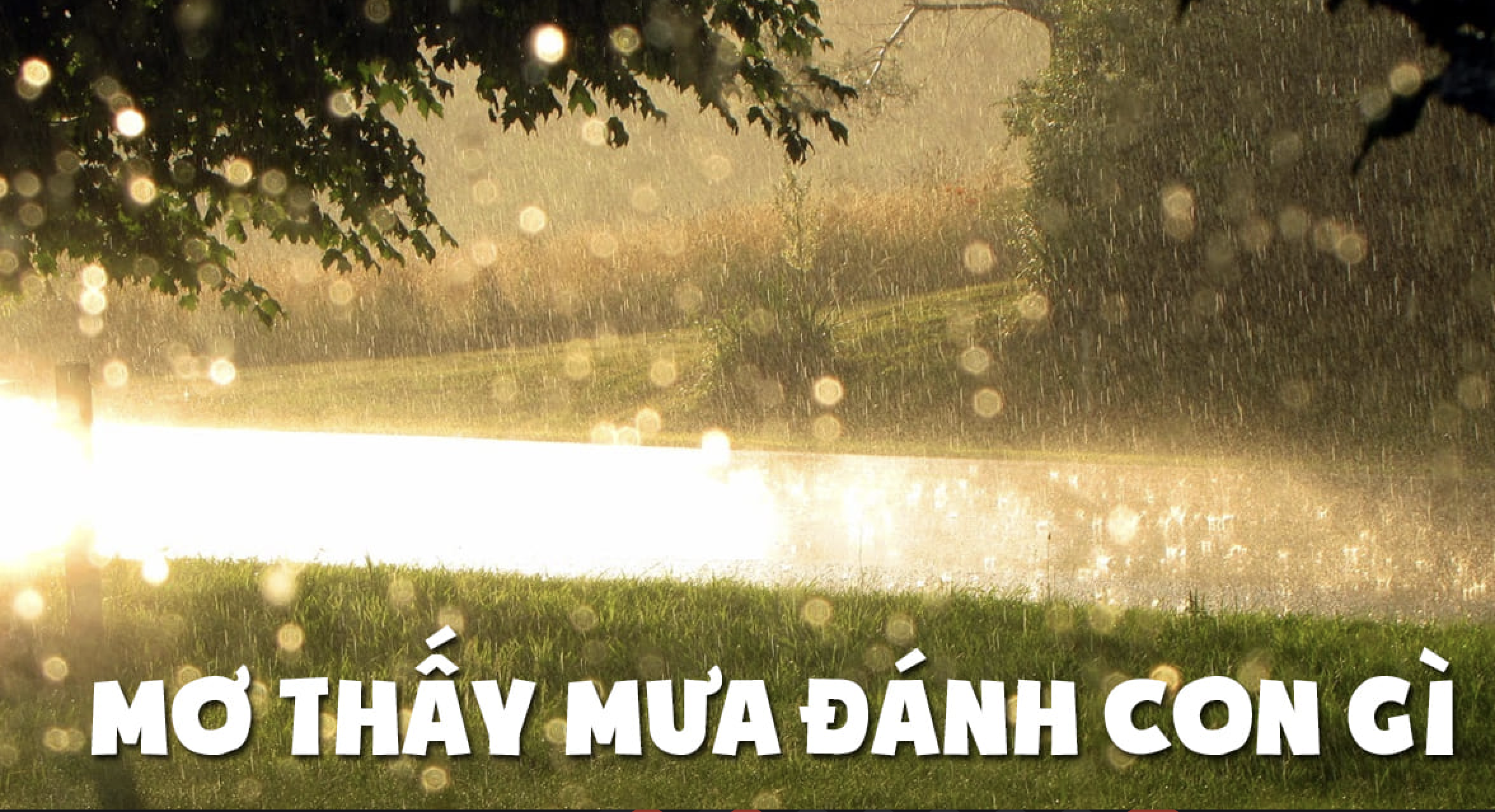 FCB8 gợi ý số đề khi mơ thấy trời mưa