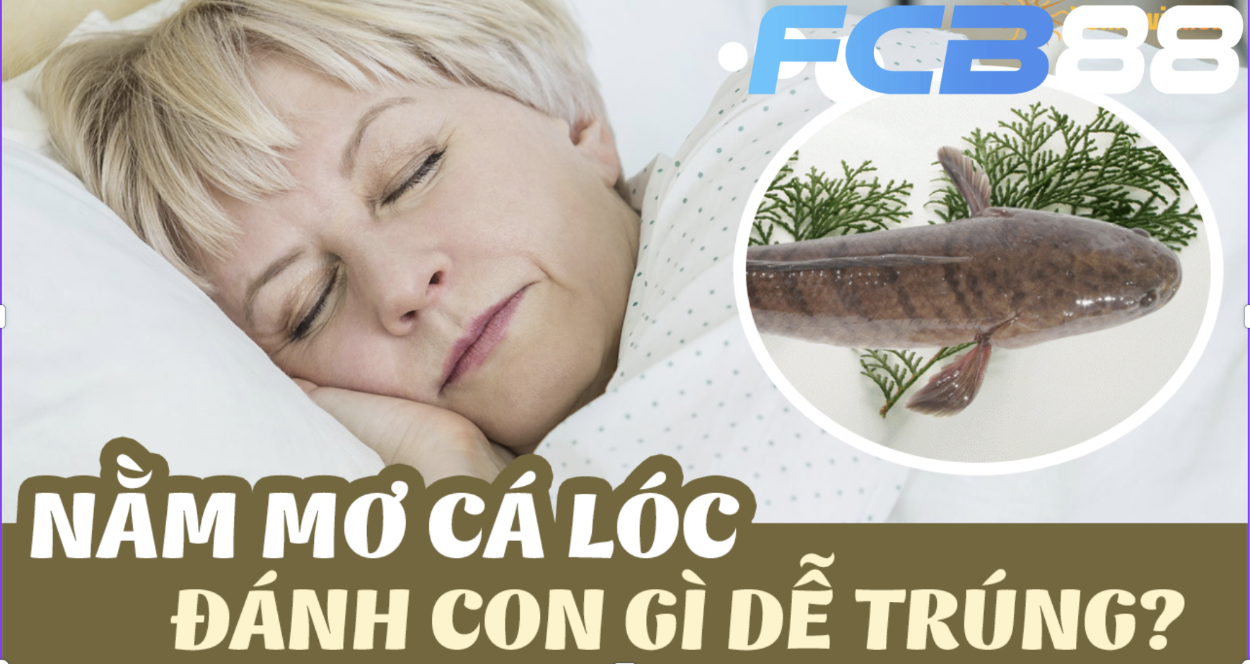 Số đề liên quan đến nằm mơ cá lóc