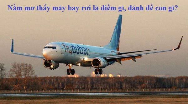 Mơ Thấy Máy Bay Rơi Cùng FCB88 Giải Mã Và Chọn Số Đề