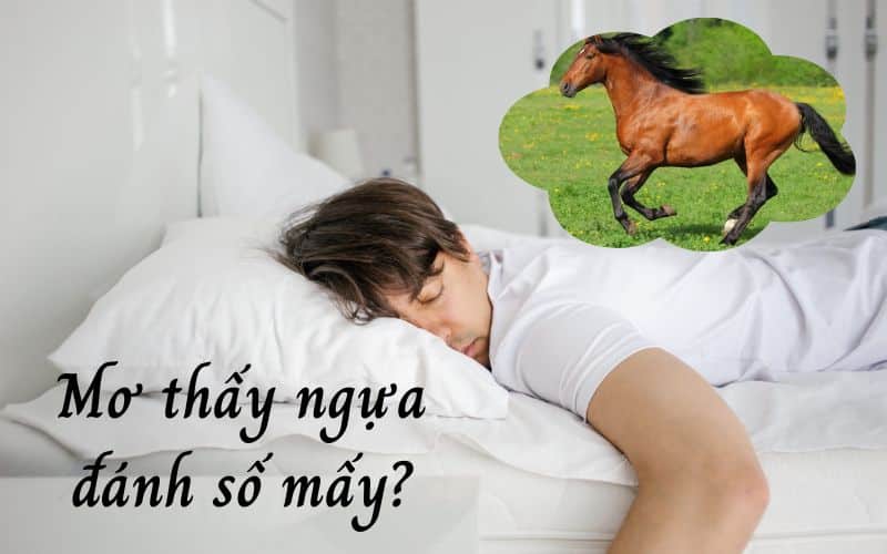 FCB8 gợi ý số đề liên quan đến mơ thấy ngựa