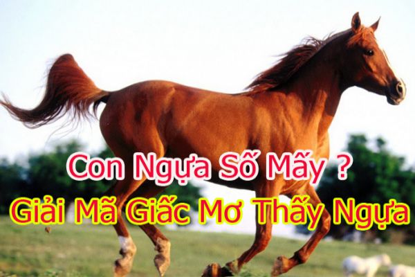 Mơ Thấy Ngựa – Giải Mã Điềm Báo Và Con Số May Mắn Tại FCB8