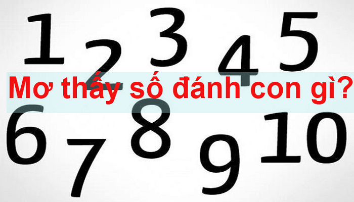 Nằm mơ số đề là điềm báo gì?