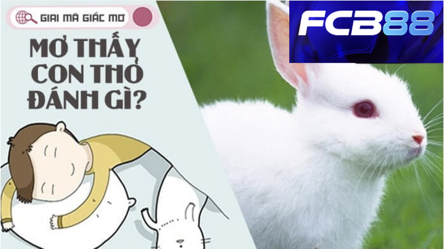 Mơ Thấy Thỏ – Con Số Đề May Mắn Đang Chờ Bạn Tại FCB88!