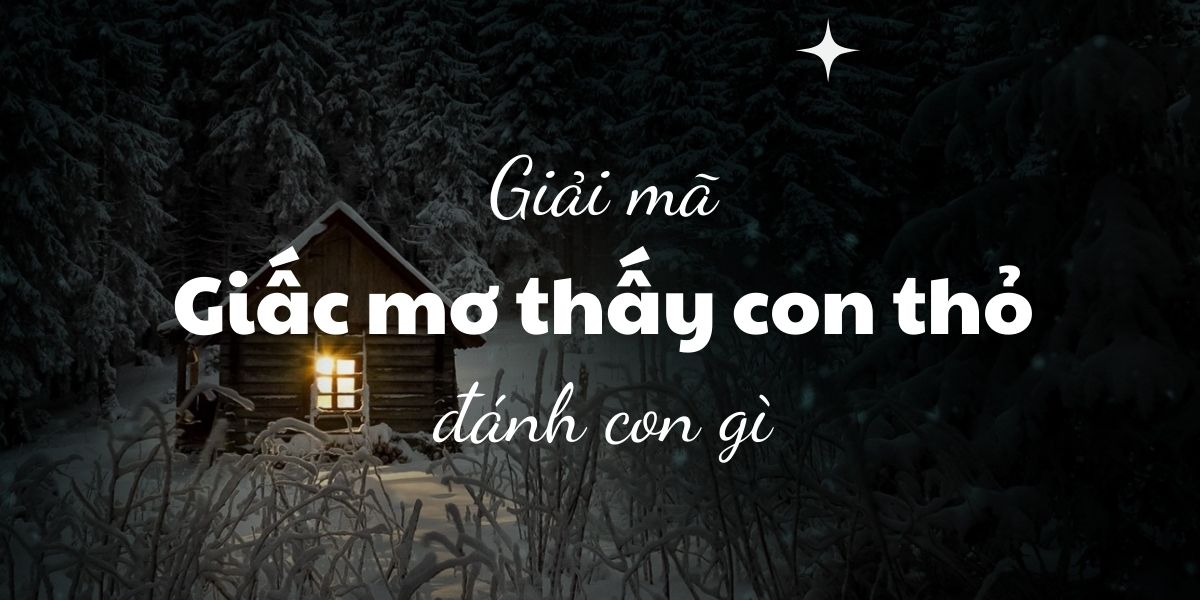 FCB88 giải mã giấc mơ về thỏ