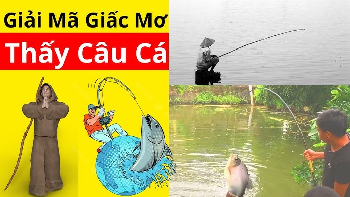 FCB88 giải mã giấc mơ thấy câu cá
