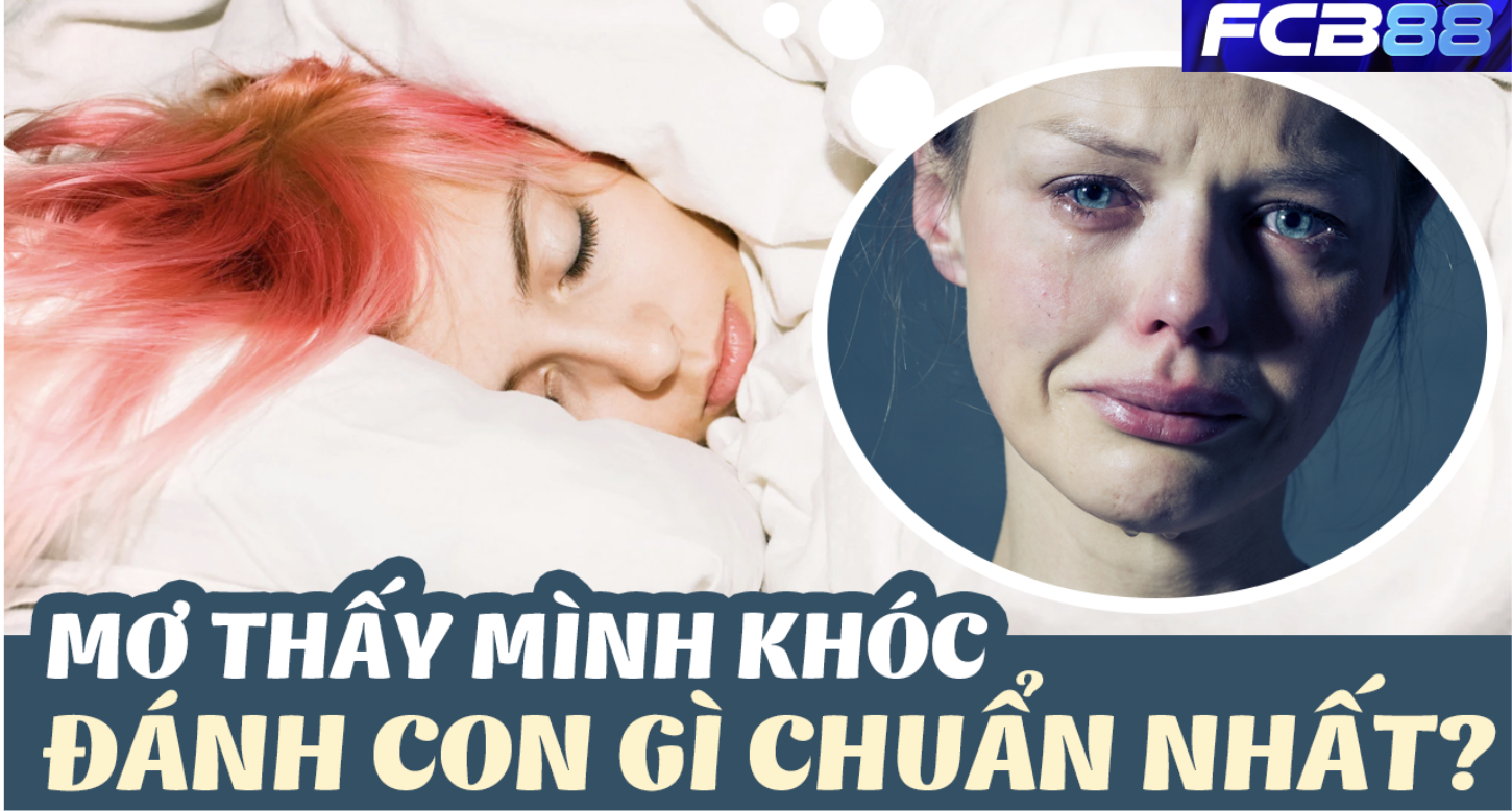 FCB88 – Khóc Trong Mơ, Lộc Trời Trong Đề: Mơ Thấy Mình Khóc Số Mấy?