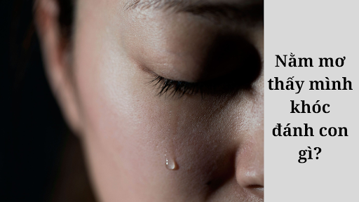 Mơ thấy mình khóc ý nghĩa gì? FCB88 có câu trả lời