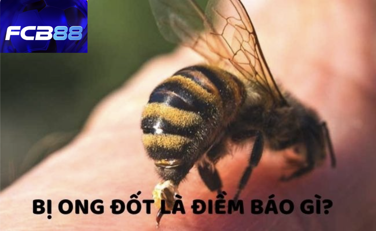 Điềm báo cụ thể cho giấc nằm mơ ong đốt