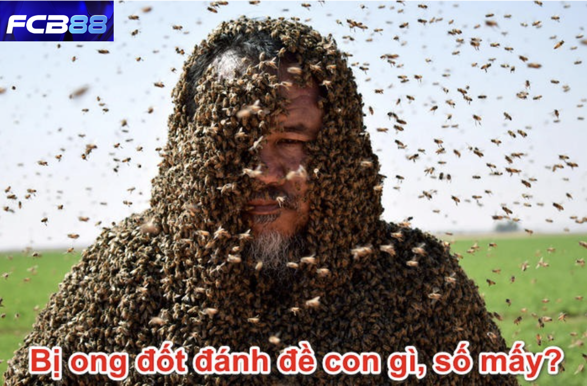 Giấc Mơ Thấy Ong Đốt Đánh Con Gì? Bí Kíp Trúng Đề Từ FCB88
