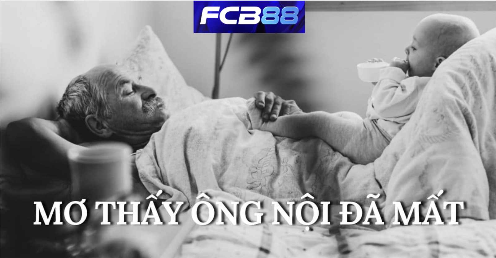 Mơ Thấy Ông Nội Là Số Mấy? Ý Nghĩa Giấc Mơ Ông Nội