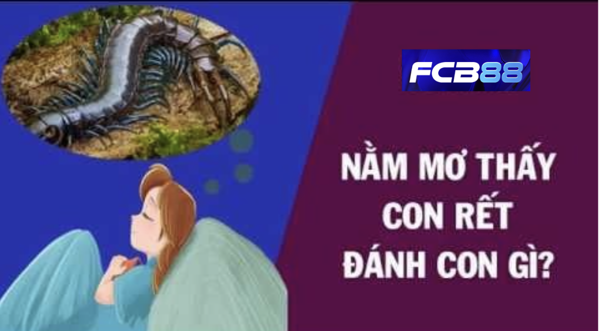 FCB88 gợi ý số đề khi chiêm bao thấy rết