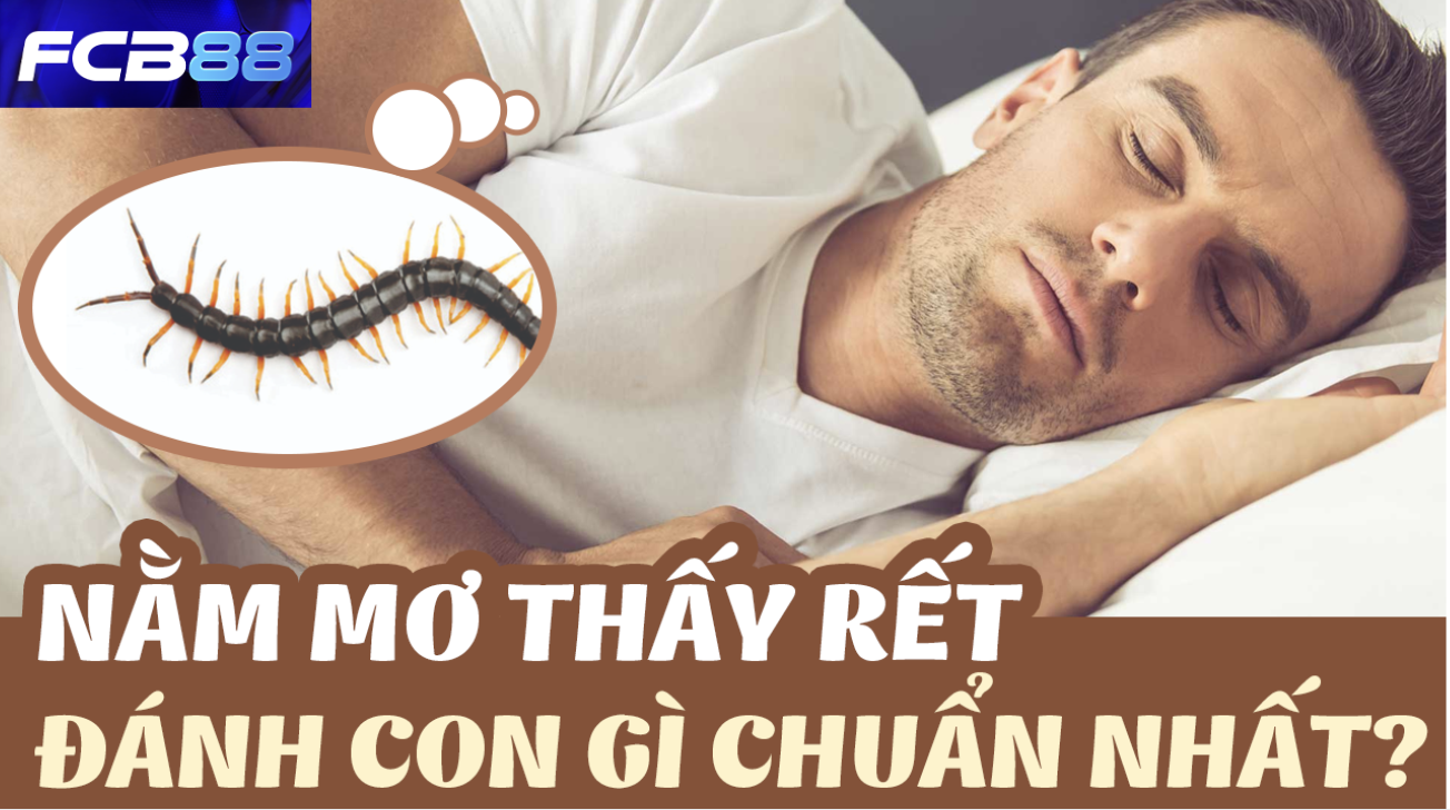 Nằm mơ thấy rết là điềm báo gì?
