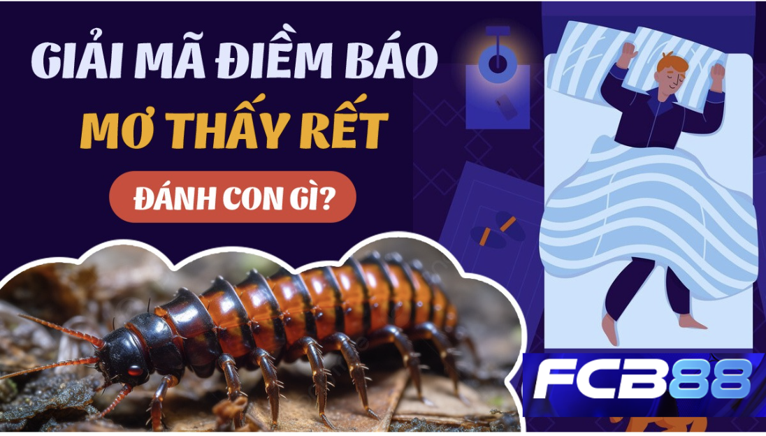 Mơ Thấy Rết - Điềm Báo Tâm Linh Và Số Đề May Mắn Tại FCB88