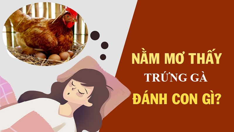Đánh Con Gì Tại FCB88 Khi Nằm Mơ Thấy Trứng Gà