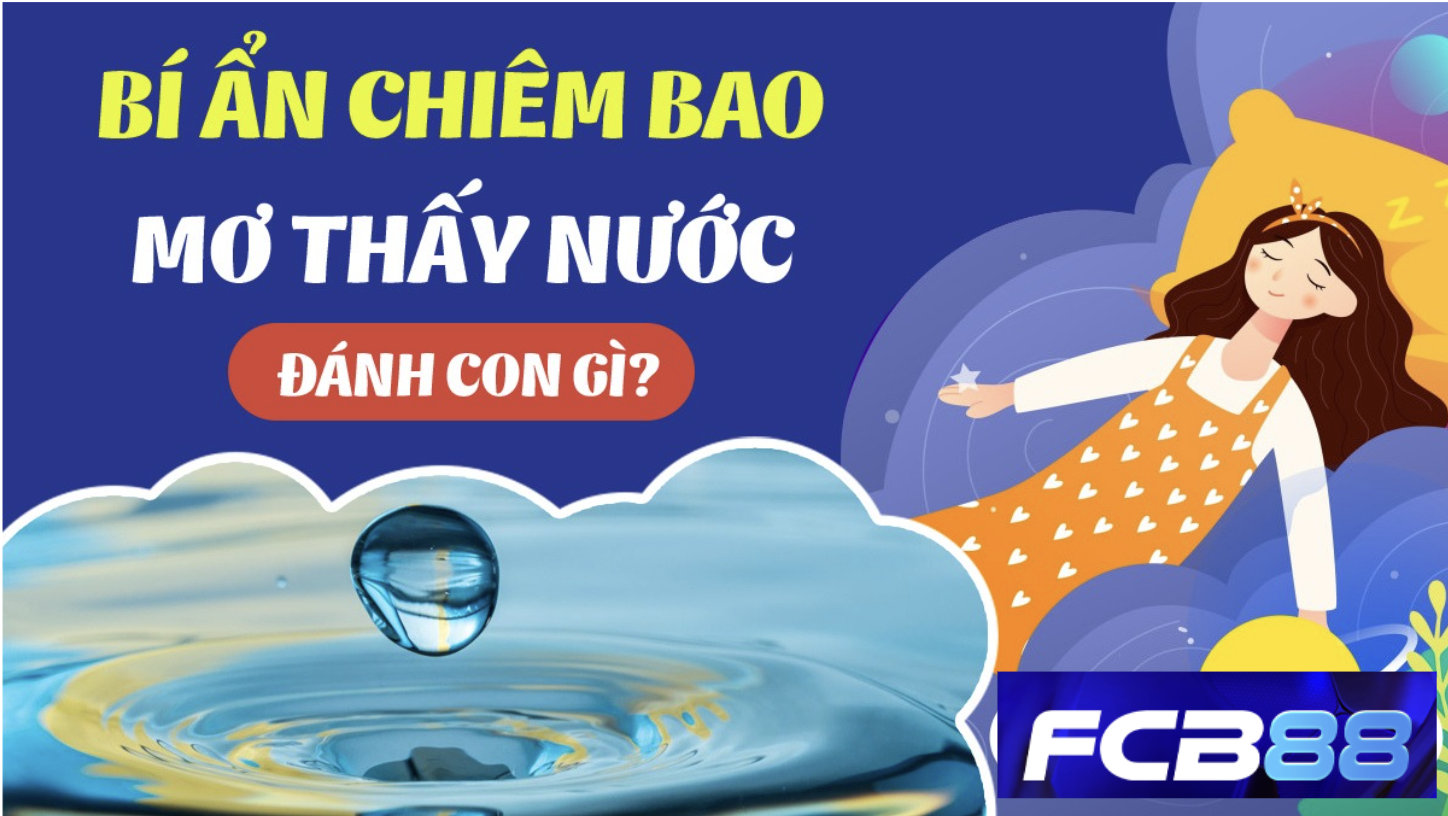 FCB88 giải mã ý nghĩa việc nằm mơ thấy nước