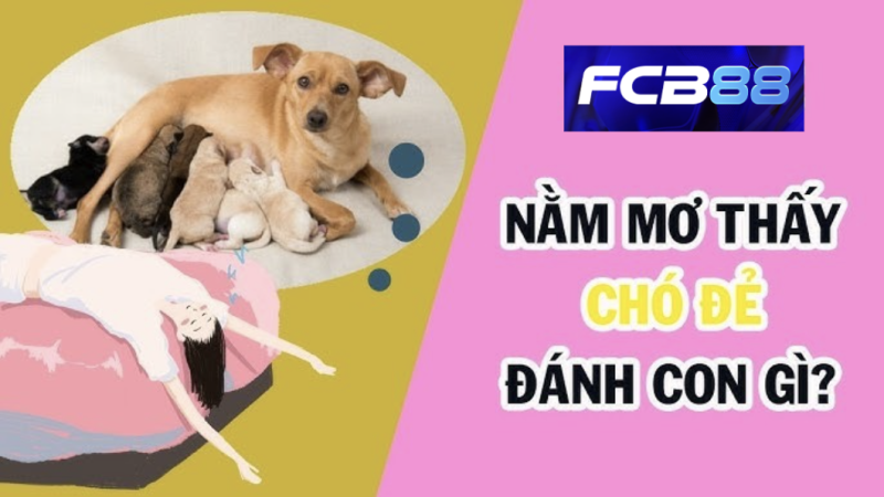 Mơ Thấy Chó Đẻ - Điềm Lành Hay Dữ? Khám Phá Số Đề Cùng FC88
