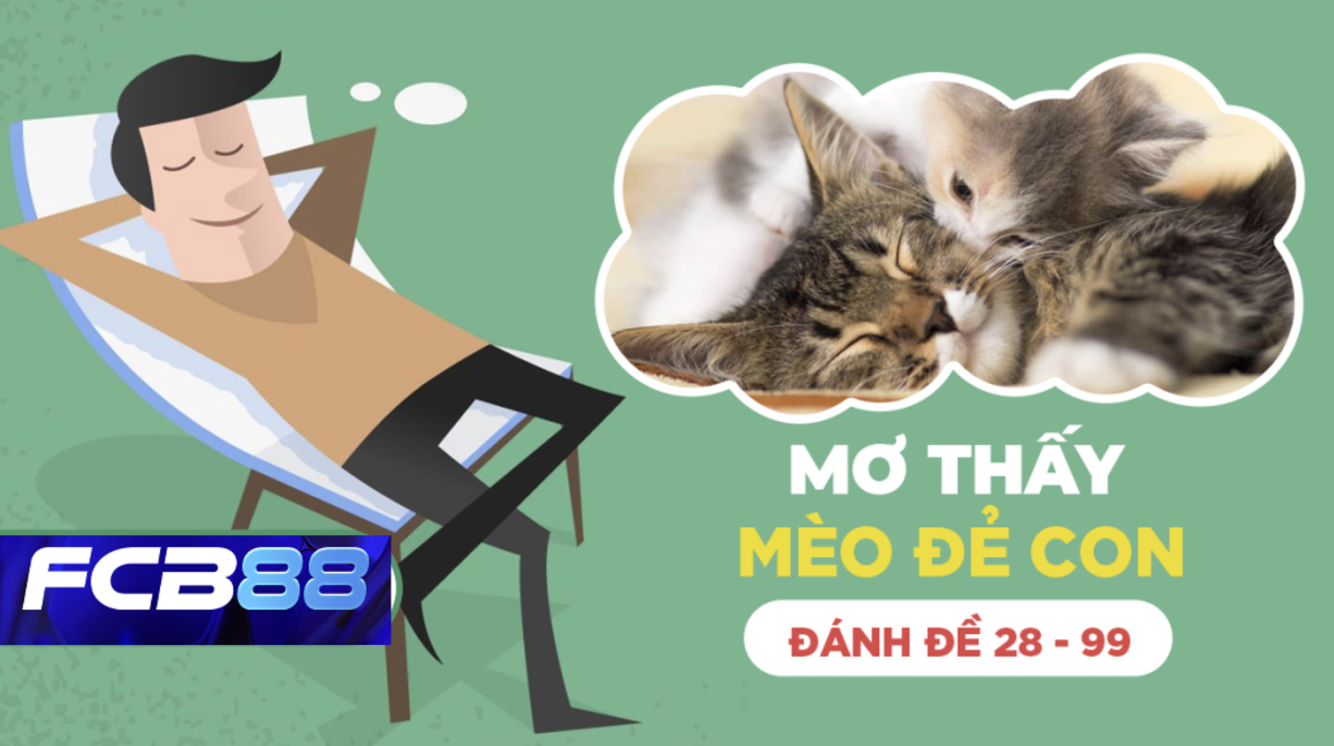 FCB88 Giải Mã Giấc Mơ Thấy Mèo Đẻ Và Số Đề Liên Quan