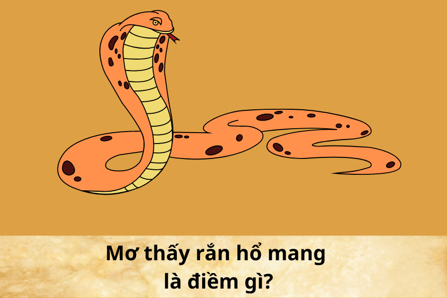 Mơ Thấy Rắn Hổ Mang - Con Số Đề Gì Được FCB88 Gợi Ý?