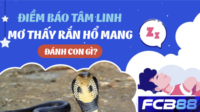 FCB88 gợi ý số đề liên quan giấc mơ về rắn hổ mang