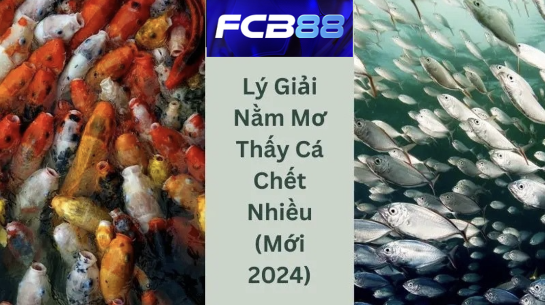 FCB88 trả lời câu hỏi "Mơ thấy cá chết là điềm gì?"