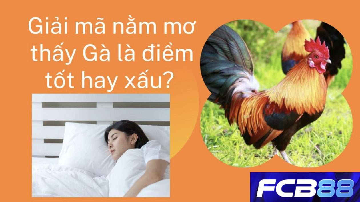 Điềm báo cho giấc mơ về gà