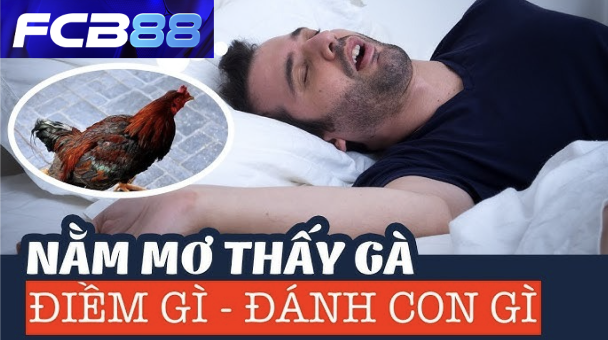 Mơ Thấy Gà – FCB88 Dự Đoán Tương Lai Và Số Đề Chuẩn Nhất