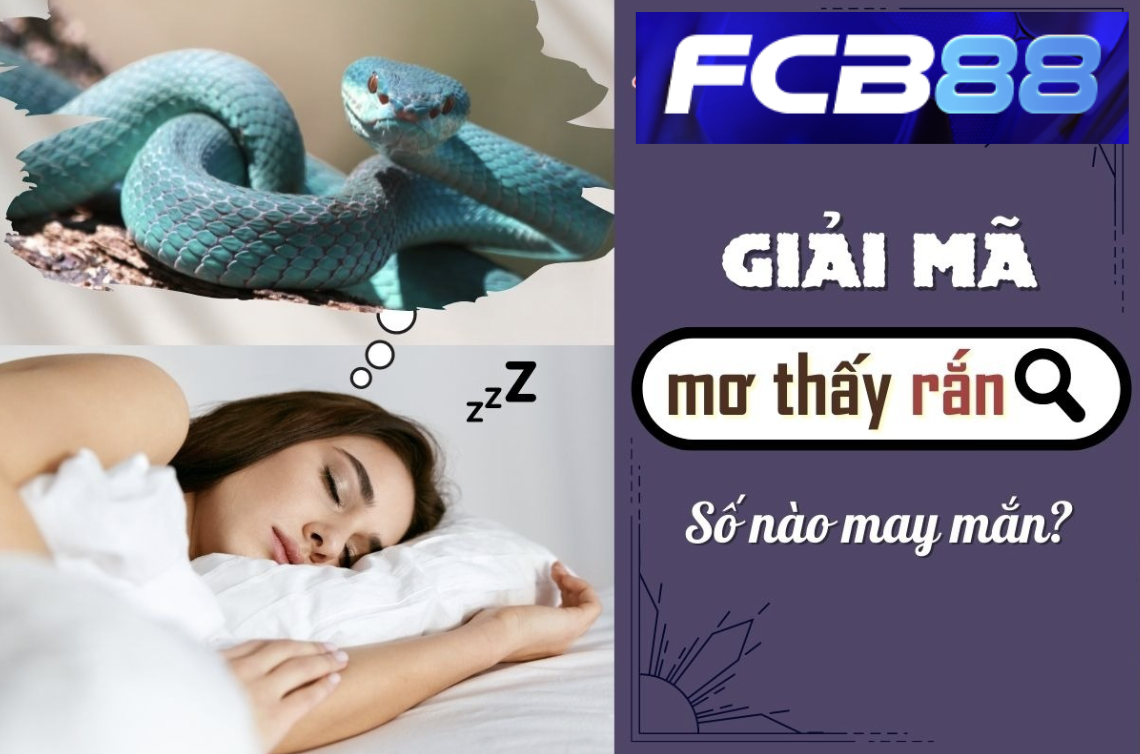 Mơ Thấy Rắn To – Bí Ẩn Điềm Báo Và Con Số May Mắn Tại FCB88