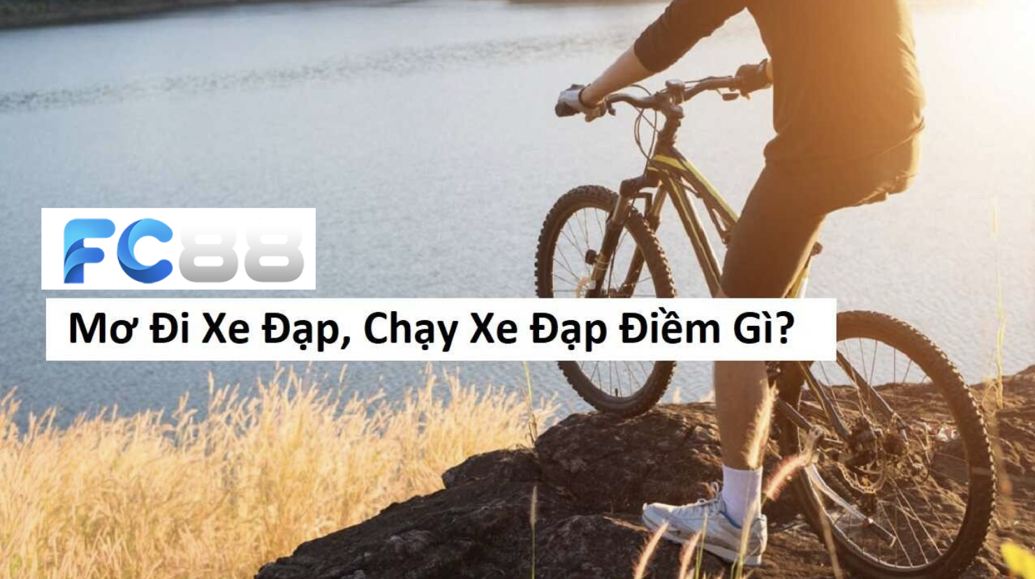 FC88 giải mã giấc Mơ Thấy Đi Xe Đạp