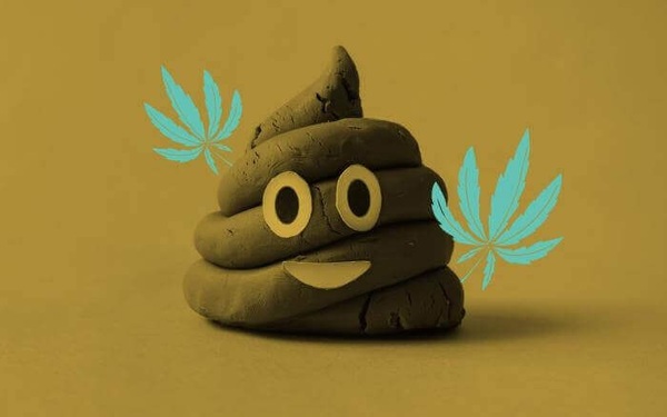 FC88 gợi ý số đề khi Mơ Thấy Phân